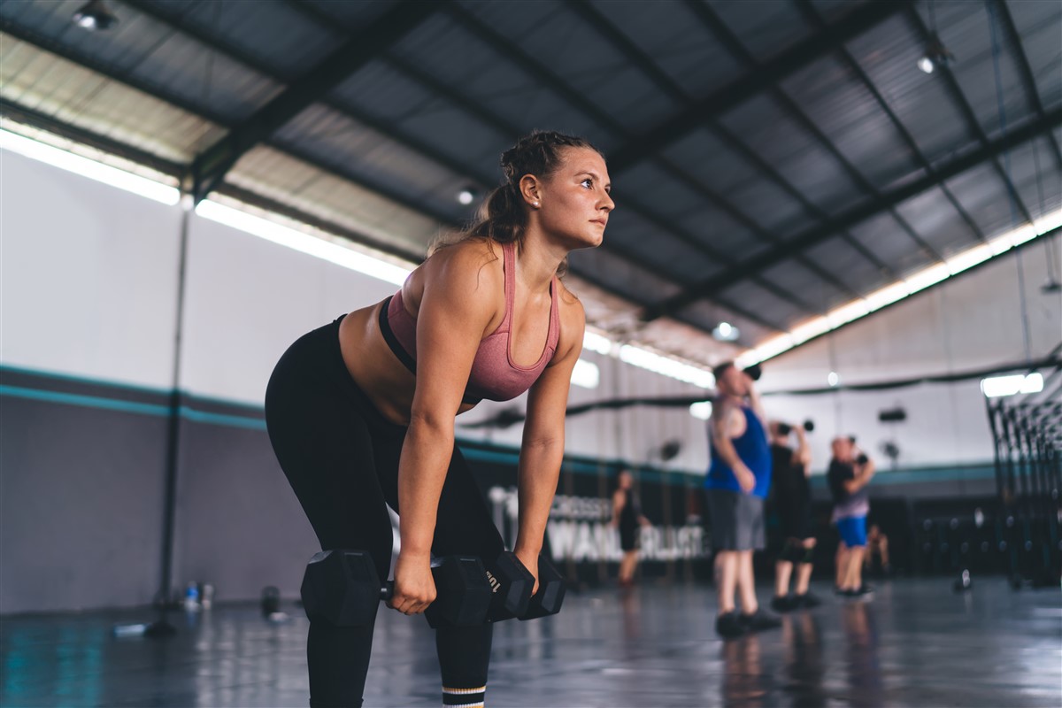 Découvrir la musculation