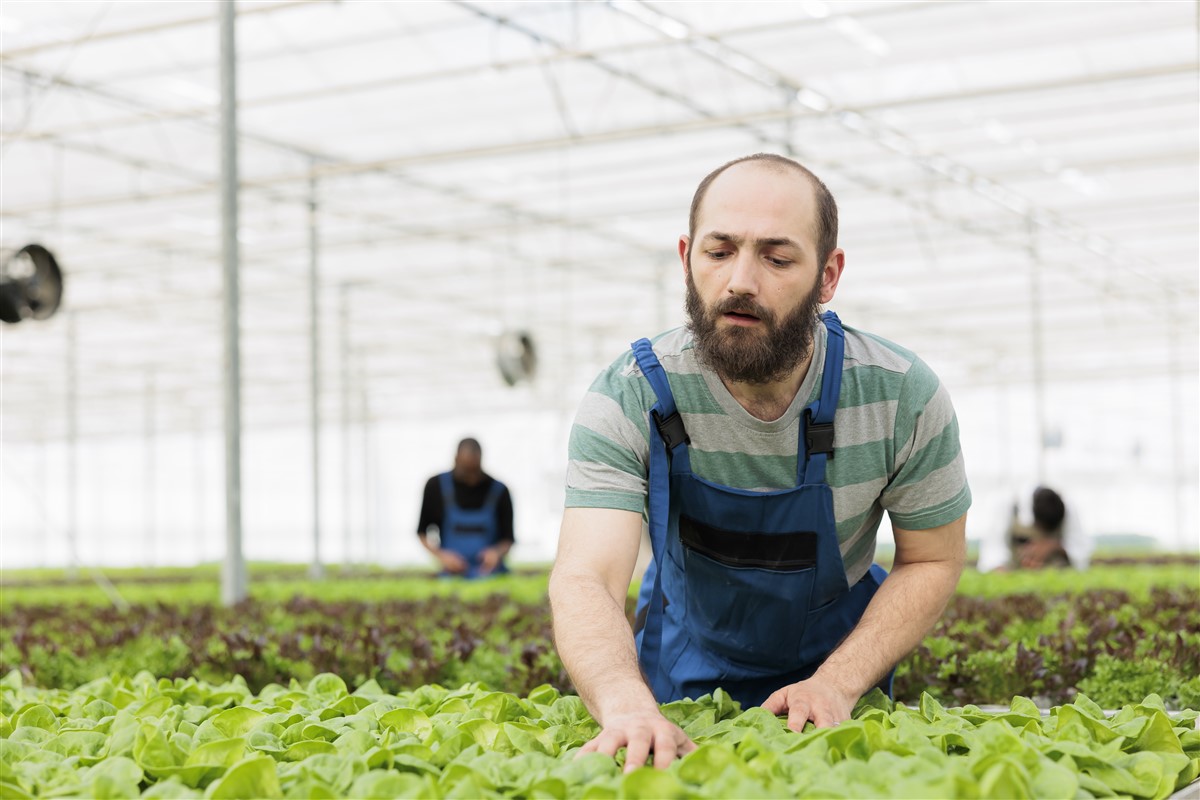 astuces pour se débarrasser des cochenilles