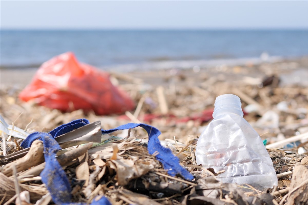 documentaire expose l'impact des déchets