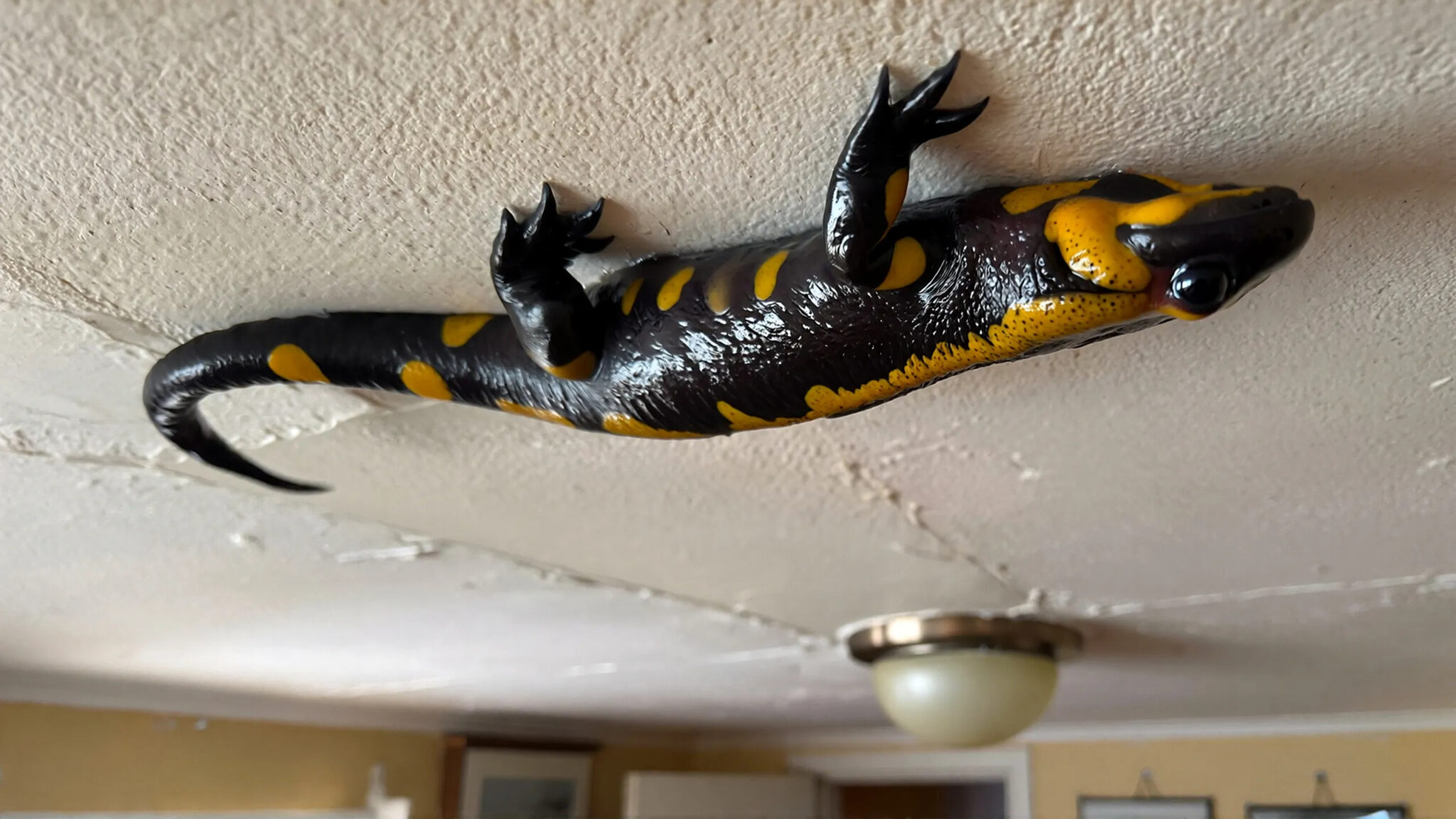 signification historique