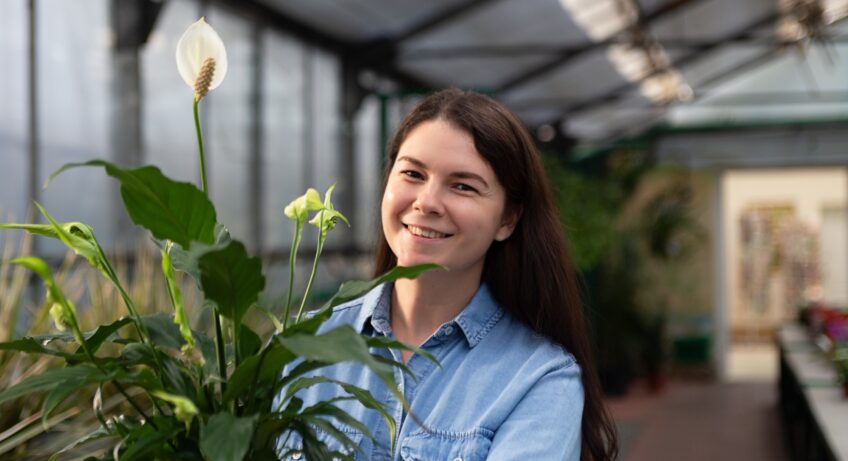 Portrait of smiling woman in greenhouse with spathiphyllum in the pot.