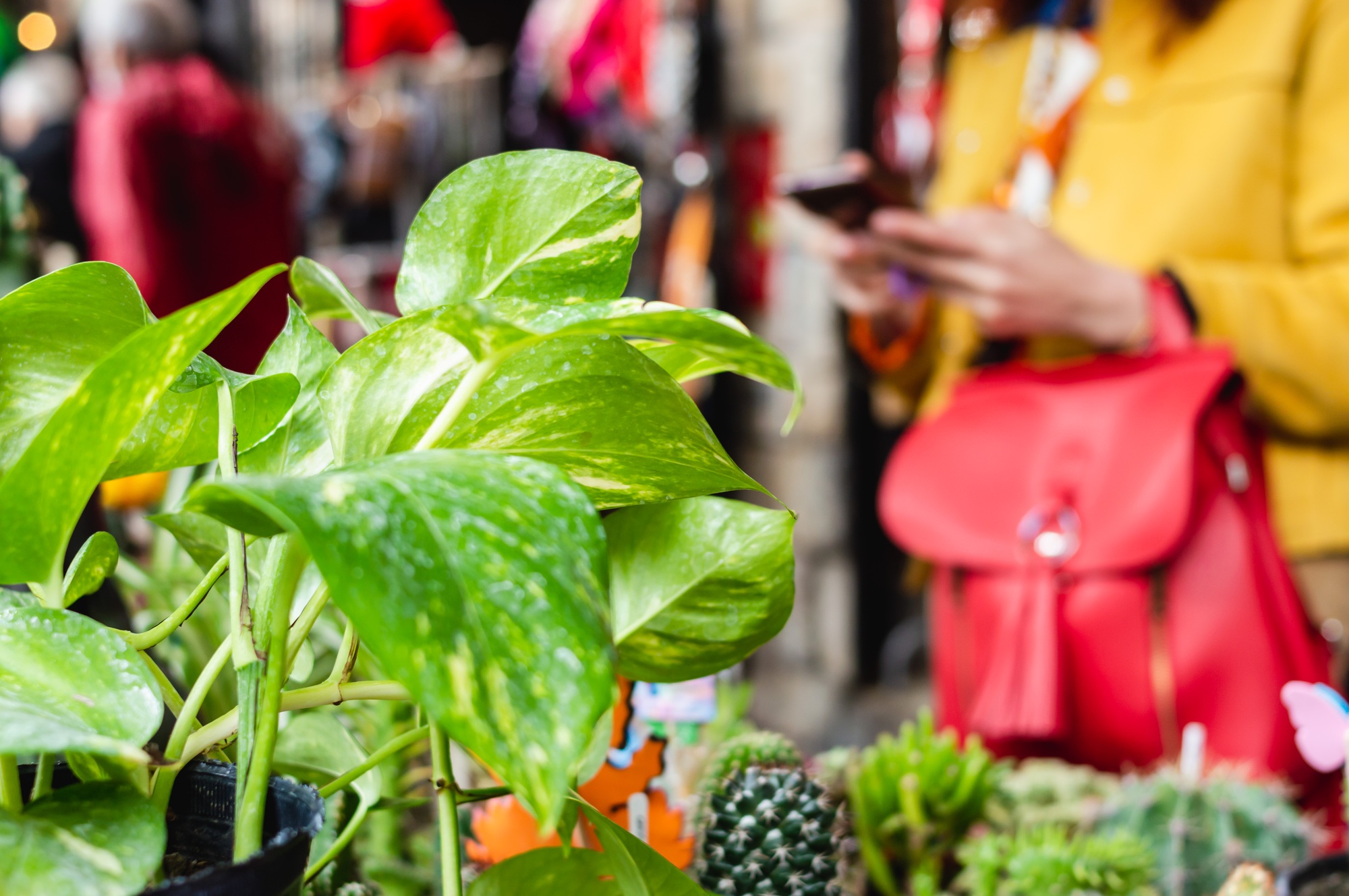closeup of a plant in a craft fair with a bored woman in the background using the mobile, copy space