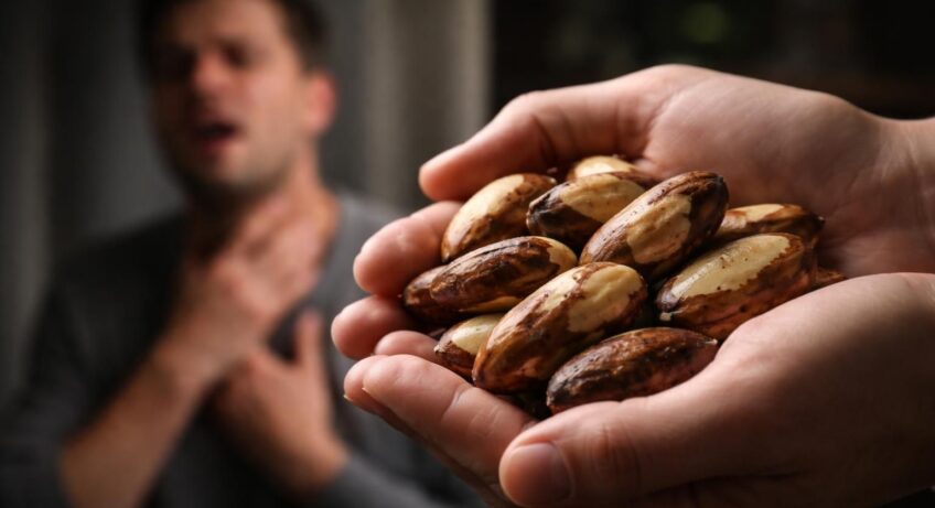 découvrez les risques allergiques liés à la consommation des noix du brésil et apprenez comment les éviter pour protéger votre santé.