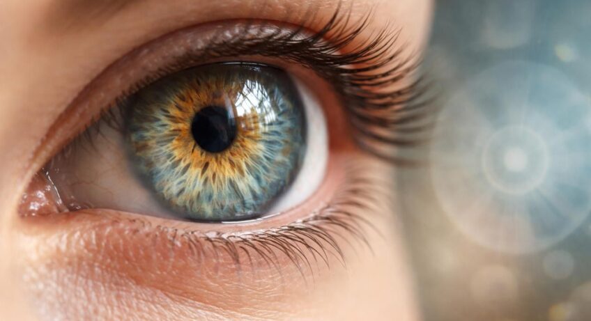 découvrez l'art de l'iridologie et apprenez à interpréter les messages cachés dans vos iris pour mieux comprendre votre santé et votre bien-être.