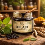 découvrez l'importance de l'ayur shilajit bio dans l'ayurveda, ses bienfaits naturels et comment il améliore votre bien-être au quotidien.